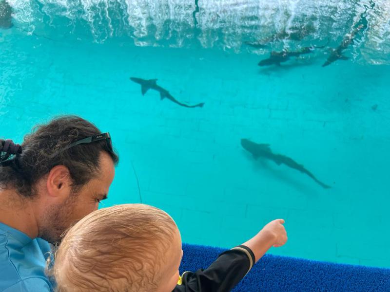 Kingdom of Sea Kemer – Abenteuer im Aquarium-Wasserpark